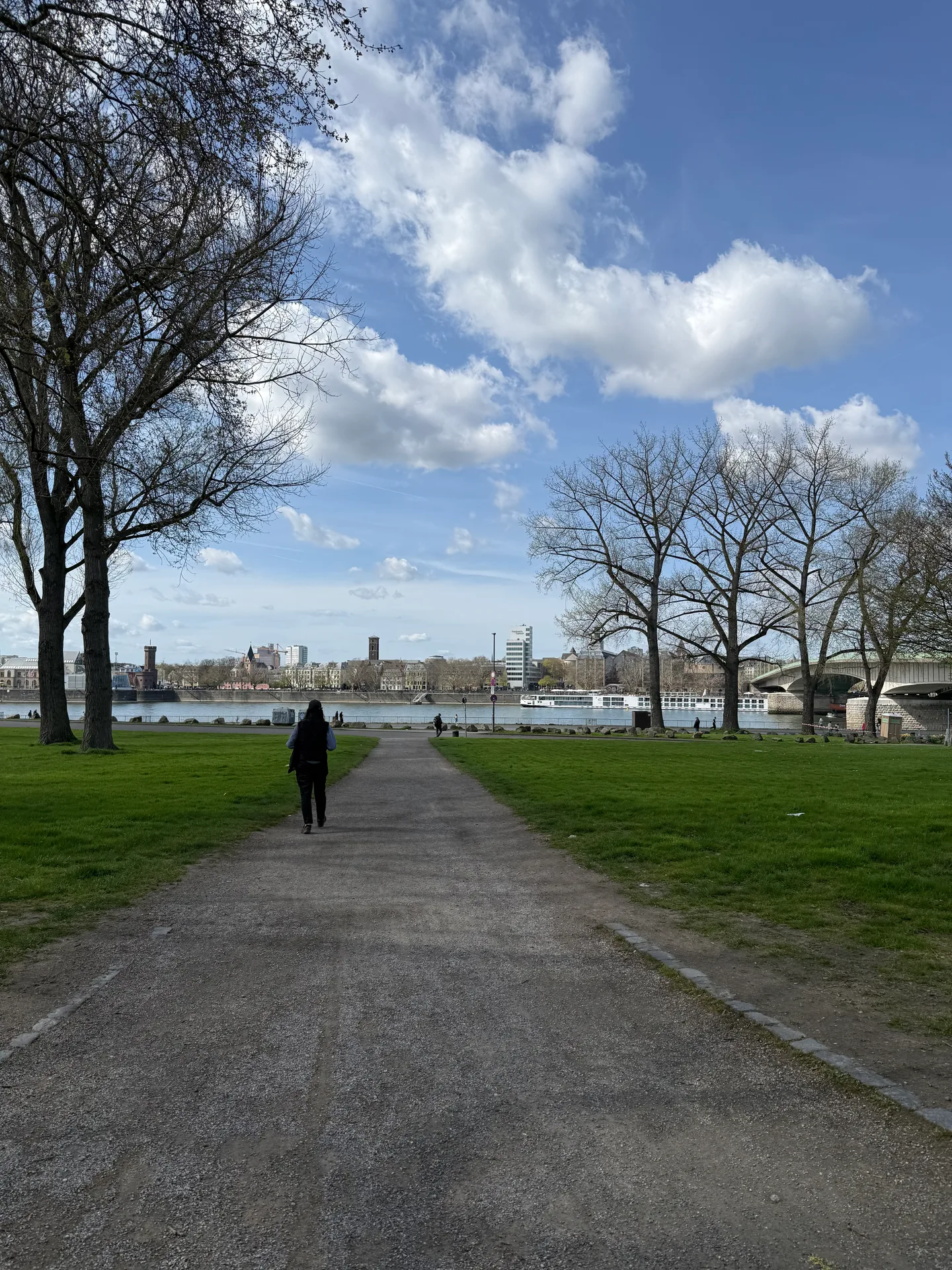 Spring in Rheinpark